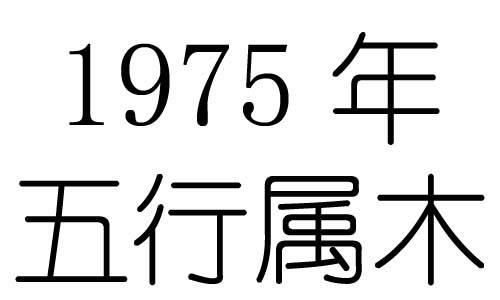 1975年5月23日的生辰八字的简单介绍