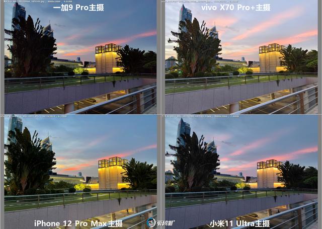 南方批八字v1.2apk下载