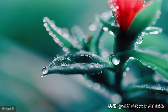 八字中有空亡怎么补救 八字中有空亡怎么补救