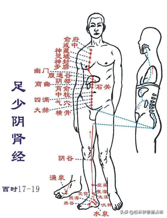 八字与子午流注 八字与子午流注