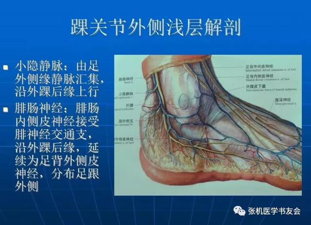 踝关节八字包扎法视频 踝关节八字包扎法视频
