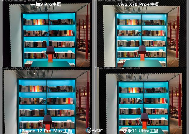 南方批八字v1.2apk下载