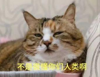 结婚前测八字