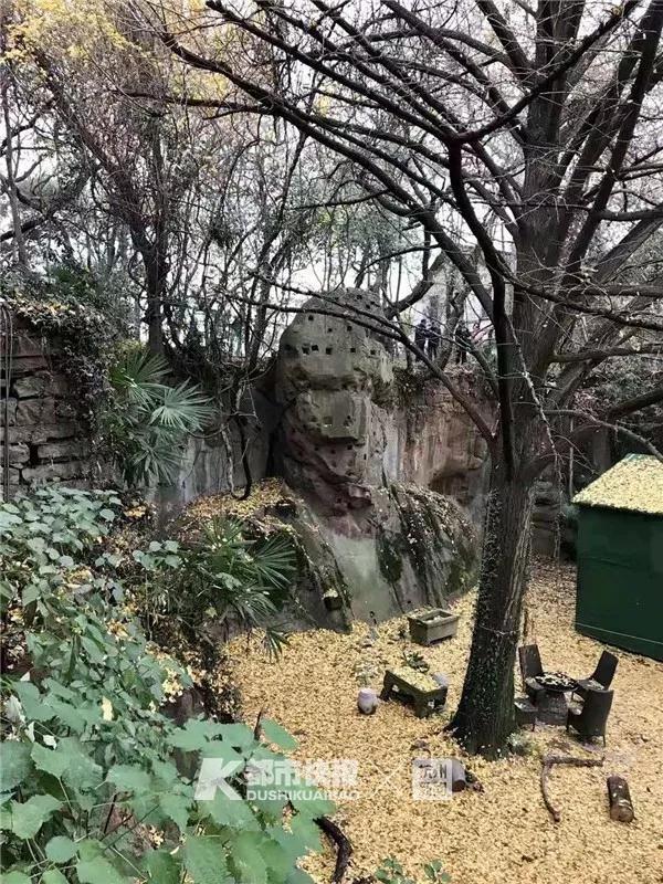 杭州八字桥的传说 杭州八字桥的传说