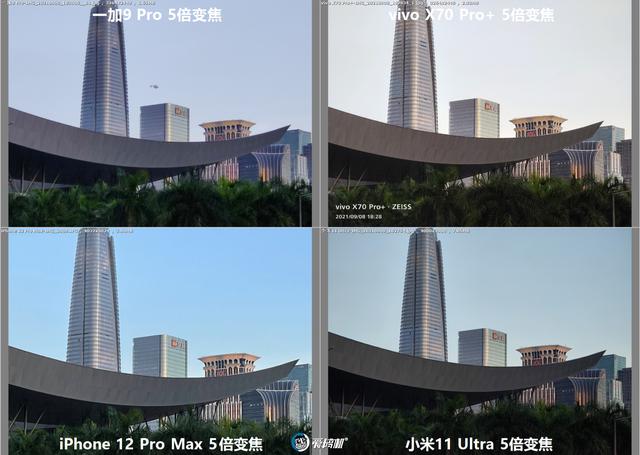 南方批八字v1.2apk下载