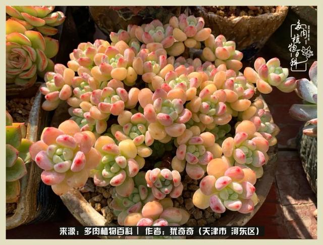名字与八字匹配测试 名字与八字匹配测试