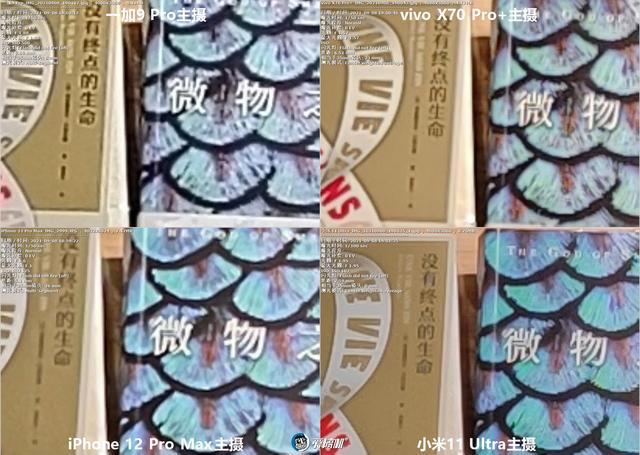 南方批八字v1.2apk下载