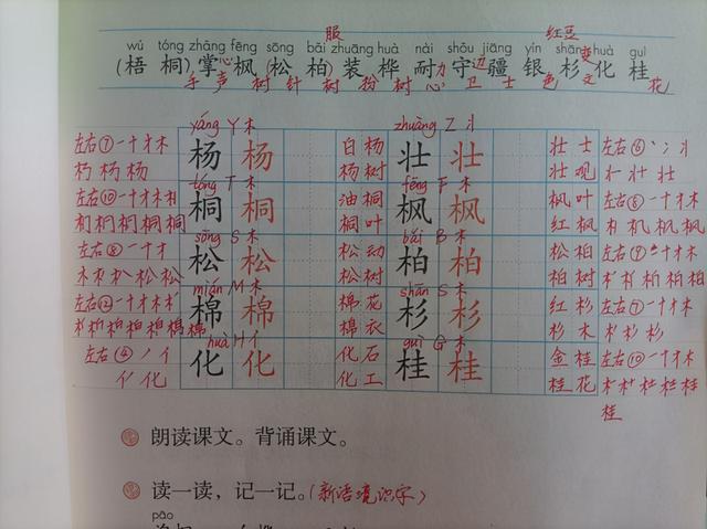 黄的部首是草字头还是八字底 黄的部首是草字头还是八字底