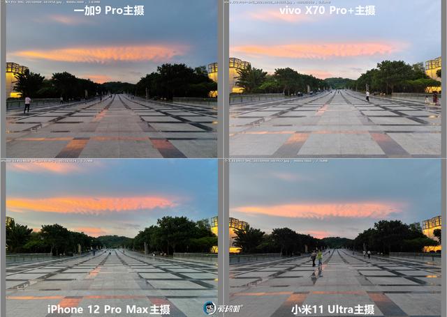 南方批八字v1.2apk下载
