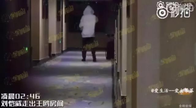 王鸥八字命理分析 王鸥八字命理分析