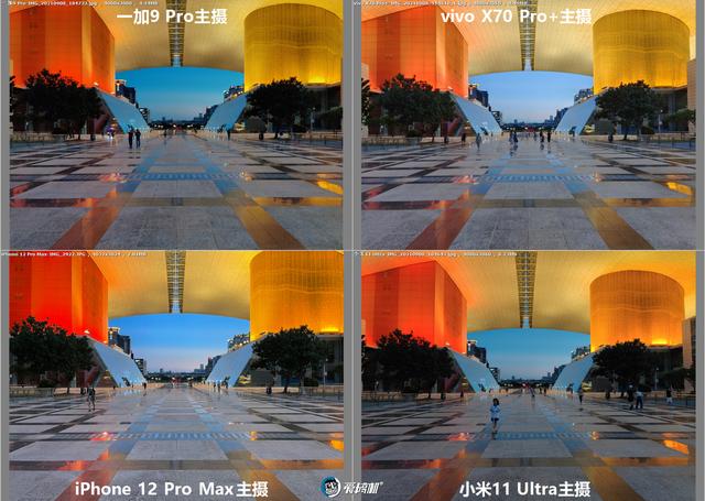 南方批八字v1.2apk下载