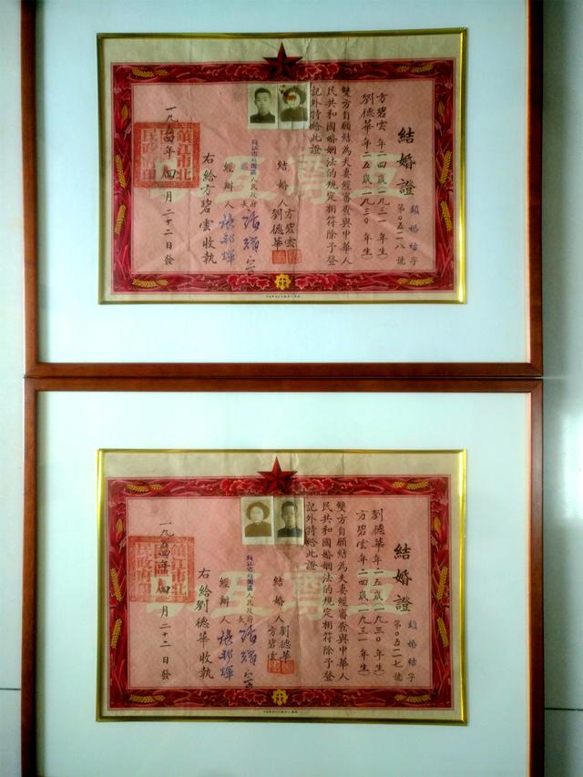 朱丽倩八字原局