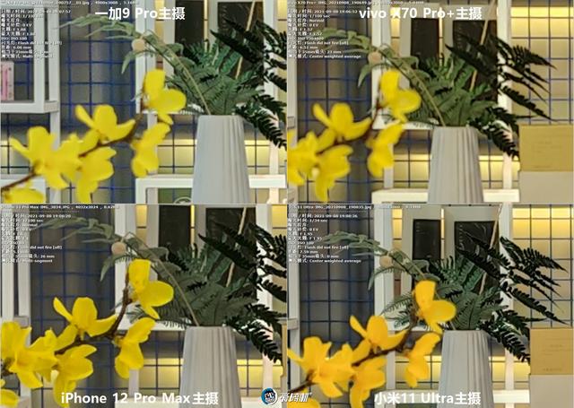 南方批八字v1.2apk下载