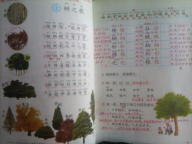 黄的部首是草字头还是八字底 黄的部首是草字头还是八字底