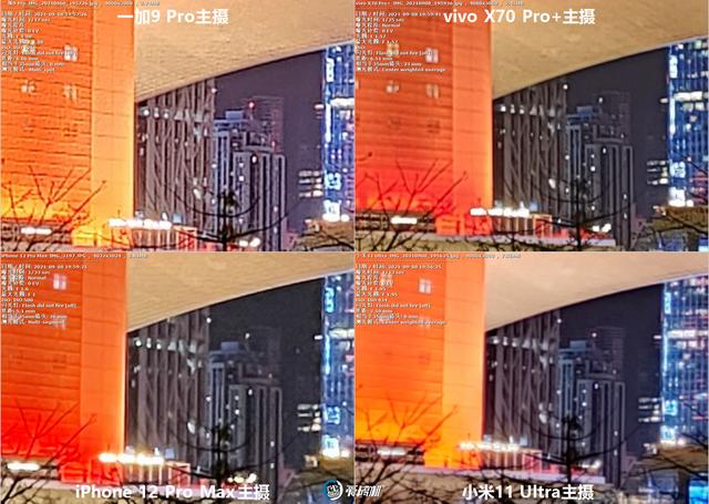 南方批八字v1.2apk下载