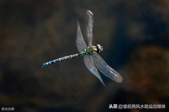 八字中有空亡怎么补救 八字中有空亡怎么补救