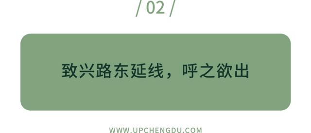 八字青龙如何查询 八字青龙如何查询