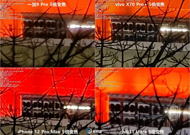 南方批八字v1.2apk下载
