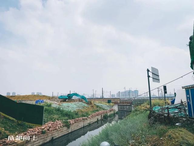 八字青龙如何查询 八字青龙如何查询