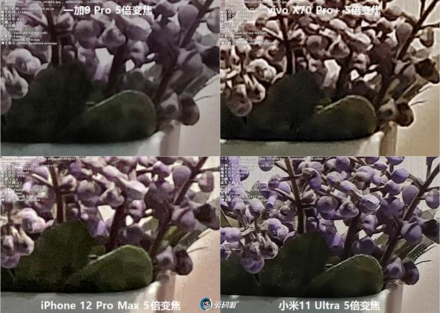 南方批八字v1.2apk下载