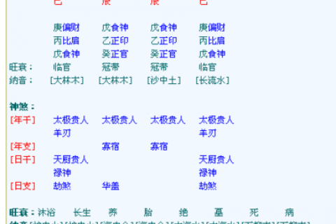 1996年最好的八字
