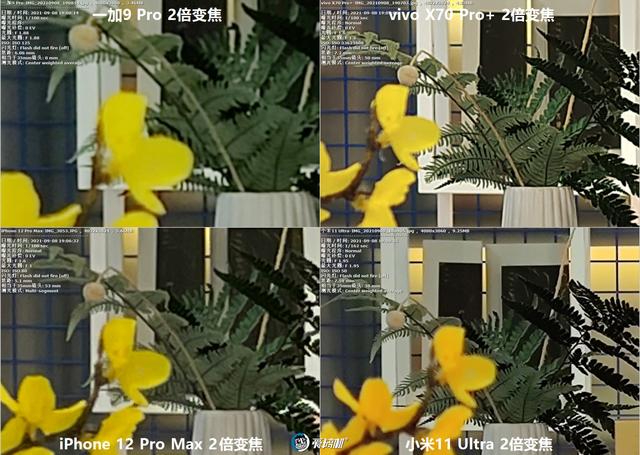 南方批八字v1.2apk下载