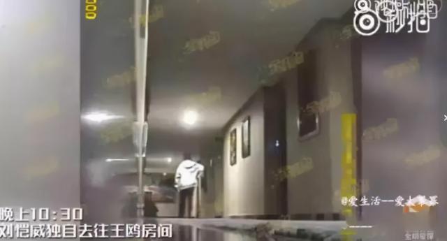 王鸥八字命理分析 王鸥八字命理分析