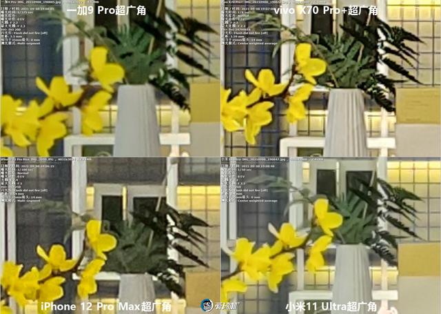 南方批八字v1.2apk下载