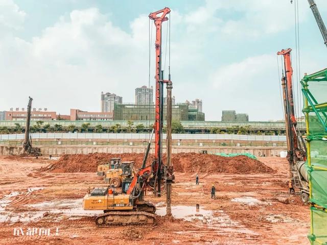 八字青龙如何查询 八字青龙如何查询