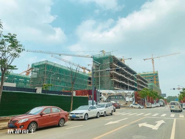 八字青龙如何查询 八字青龙如何查询