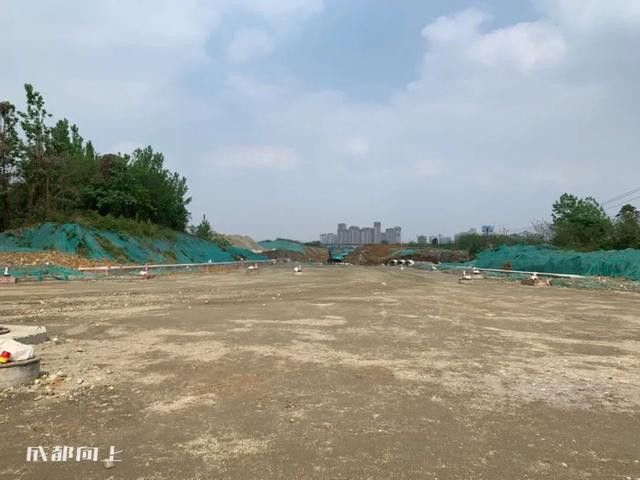 八字青龙如何查询 八字青龙如何查询