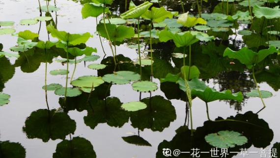 2019年三月五号生辰八字 2019年三月五号生辰八字
