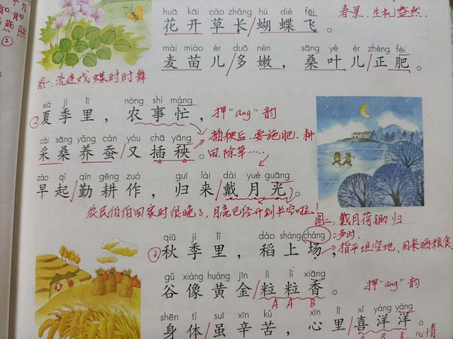 黄的部首是草字头还是八字底 黄的部首是草字头还是八字底