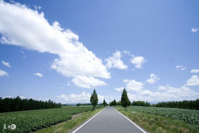 癸生申月八字