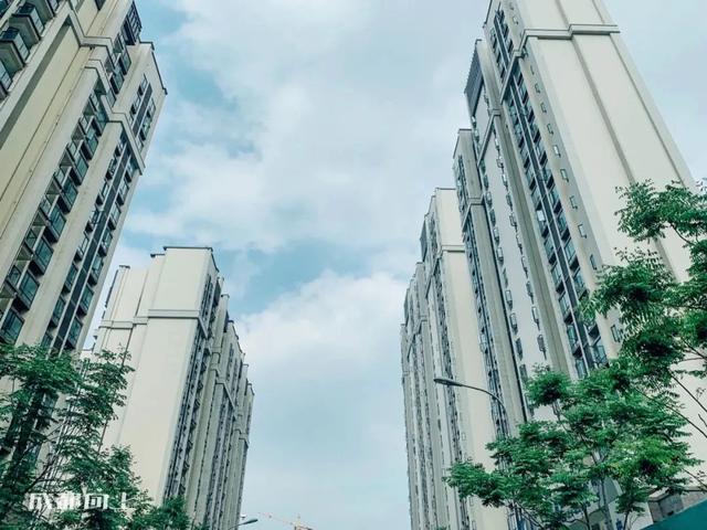 八字青龙如何查询 八字青龙如何查询