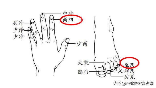 八字与子午流注 八字与子午流注