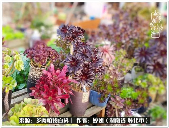 八字缺爱全部作品 八字缺爱全部作品
