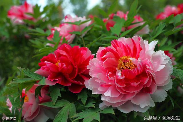 四柱八字名词解释
