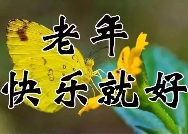 翁帆八字 翁帆八字