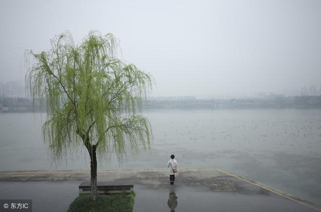 周易八字测字