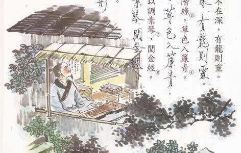 八字将星什么意思