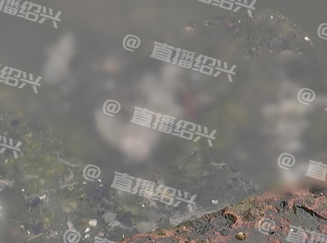 绍兴八字桥社区 绍兴八字桥社区