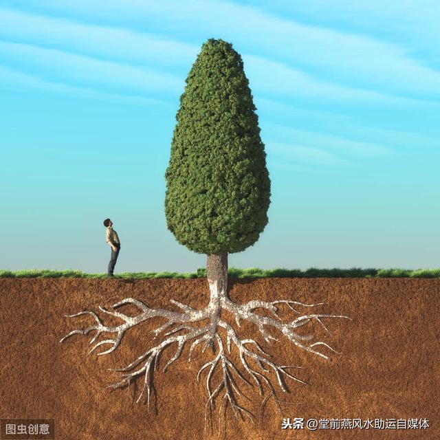 乙木八字里有甲木 乙木八字里有甲木