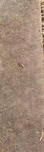 包双龙八字书籍 包双龙八字书籍