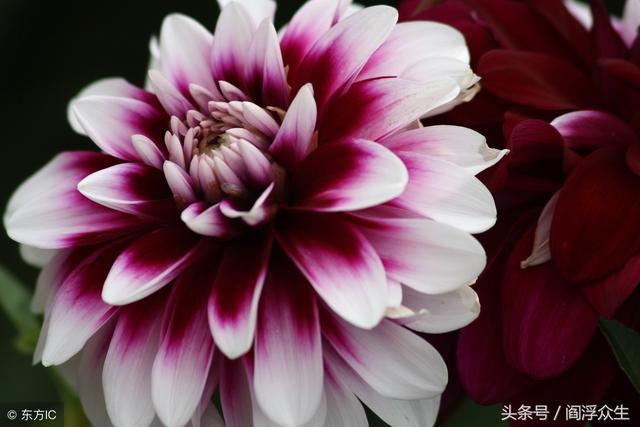 四柱八字名词解释