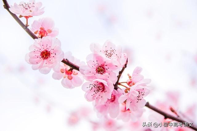 合八字软件 合八字软件