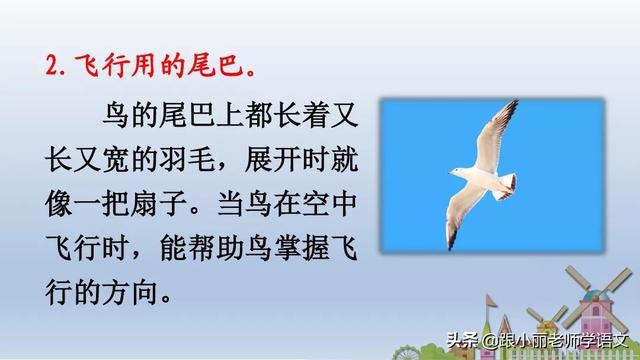 八字头就有什么字 八字头就有什么字
