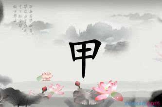 八字无木无火