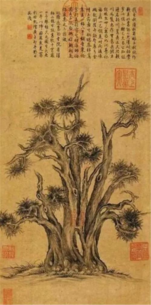 包双龙八字自学基础视频