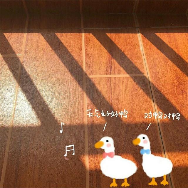 2019最新快手八字短句 2019最新快手八字短句
